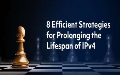 8 Efficient Strategies for Prolonging the Lifespan of IPv4